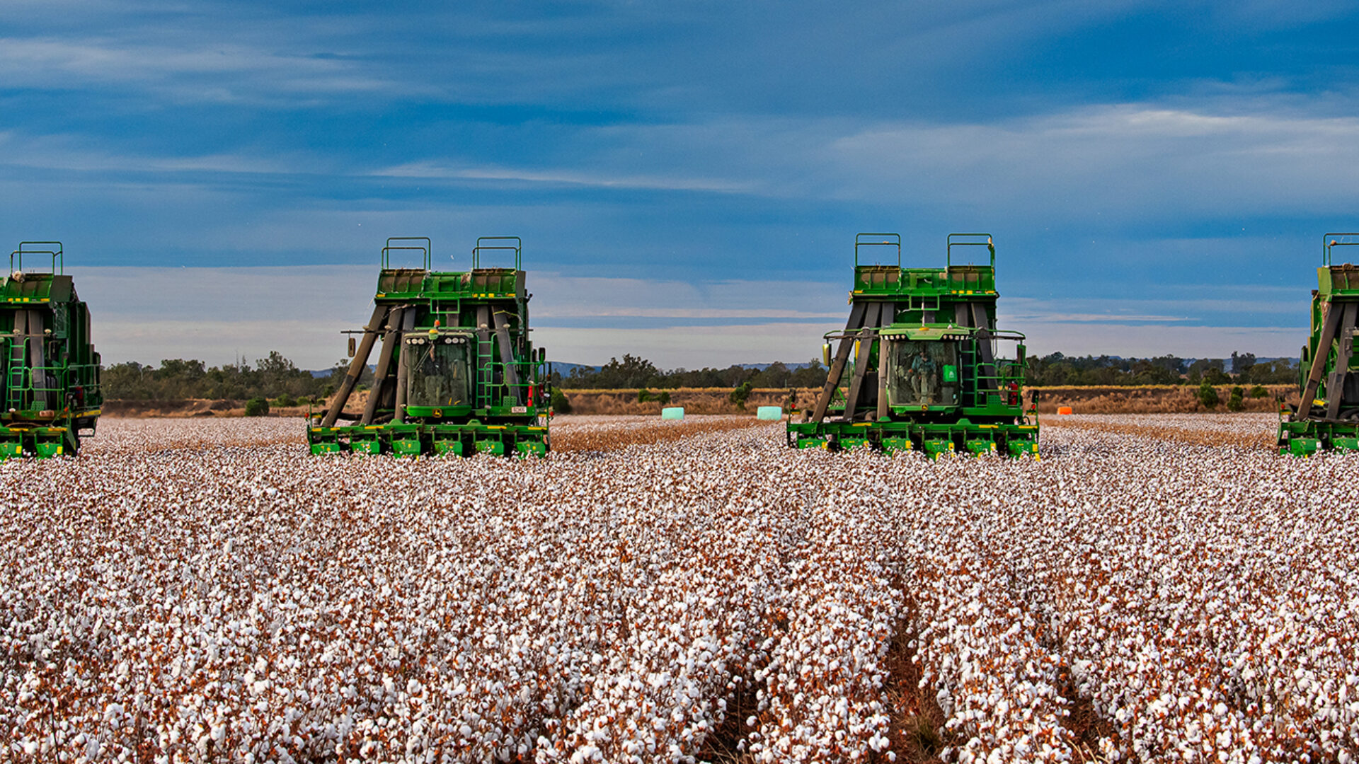 Pickers in paddock 1720x730