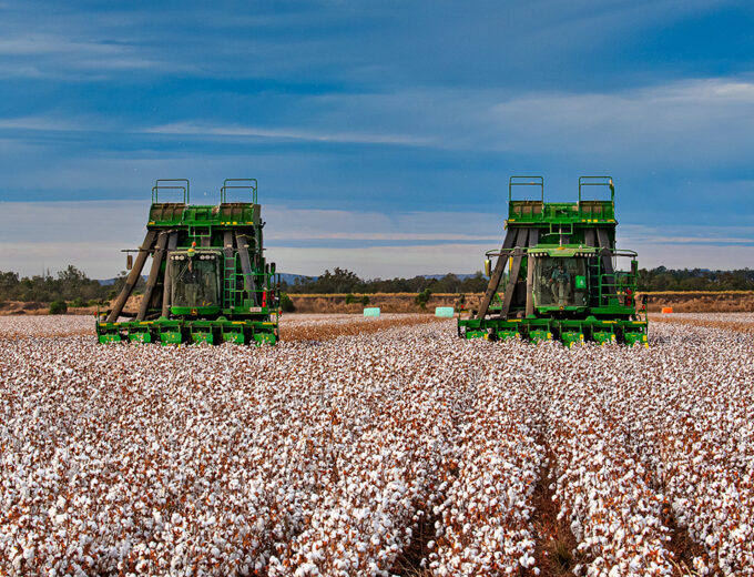 Pickers in paddock 1720x730