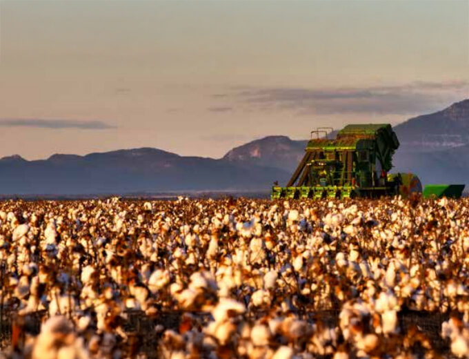 Sustainability report 2019 factsheet 680x520